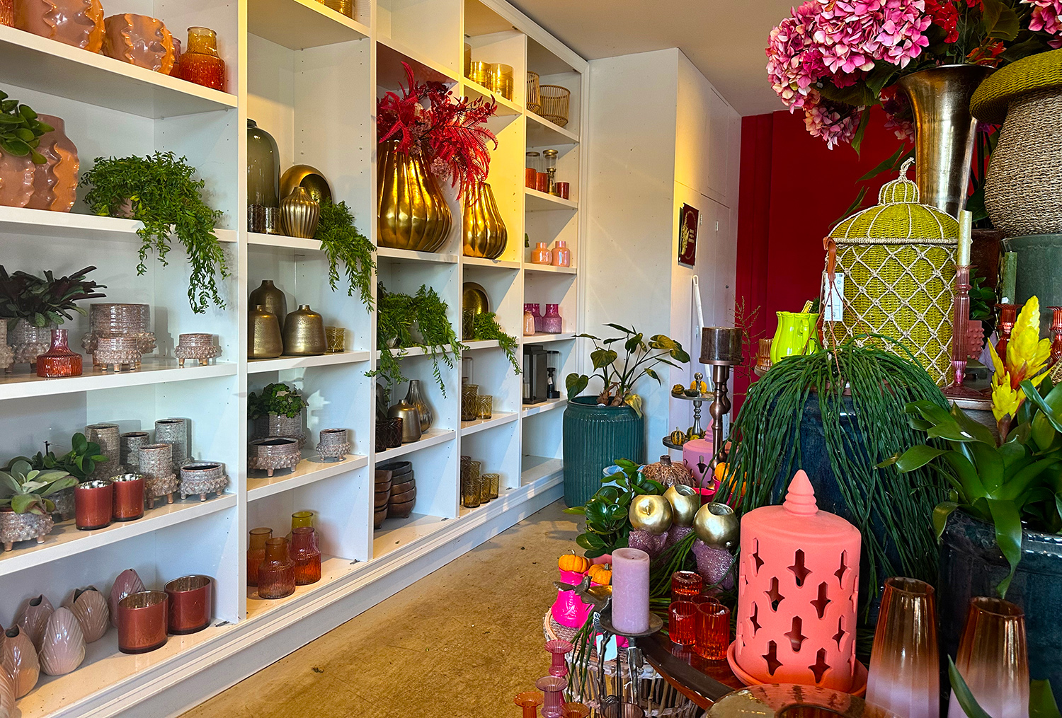 De bloemenzaak in Zaandam van Stacy Sanders.