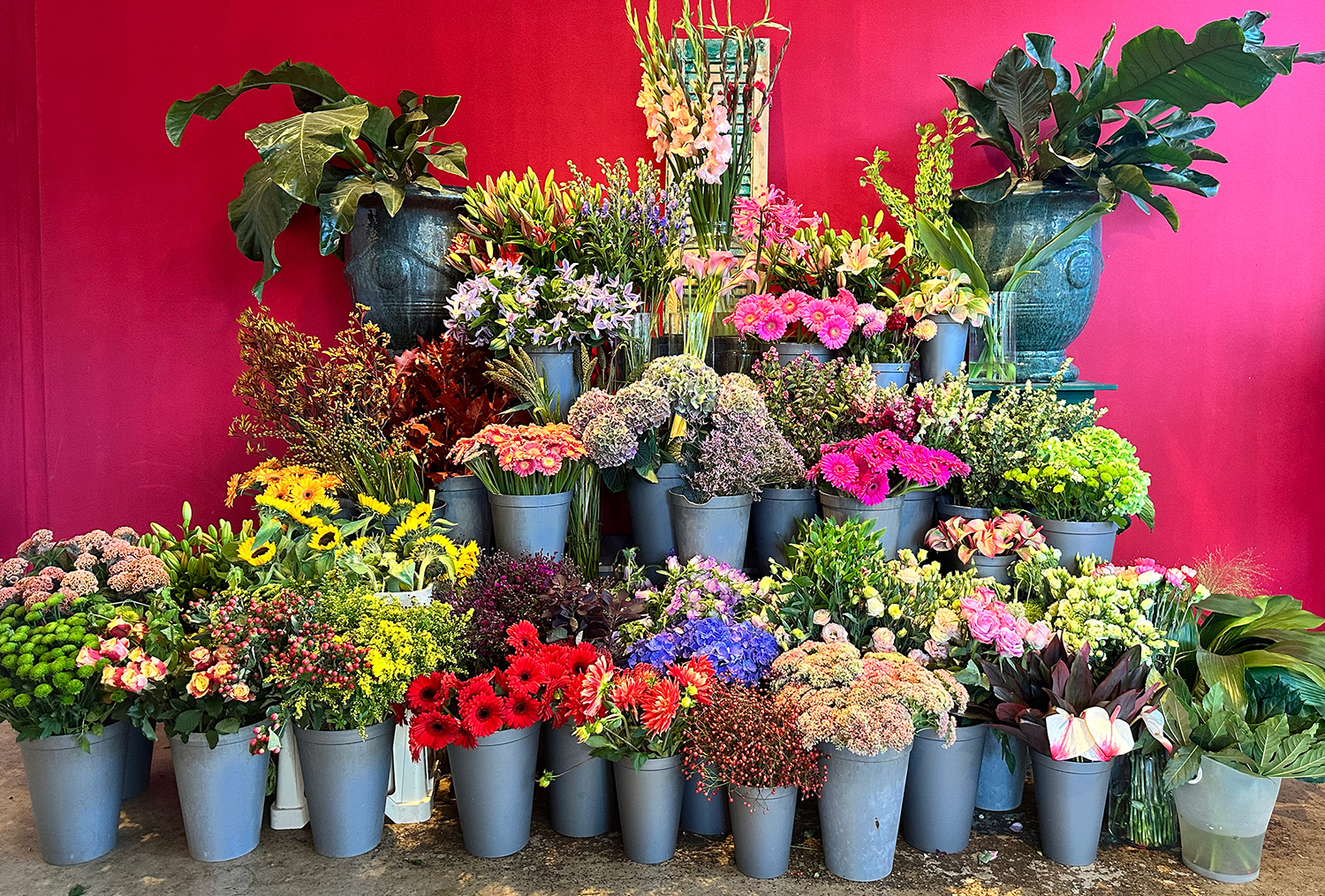 De bloemenzaak in Zaandam van Stacy Sanders.