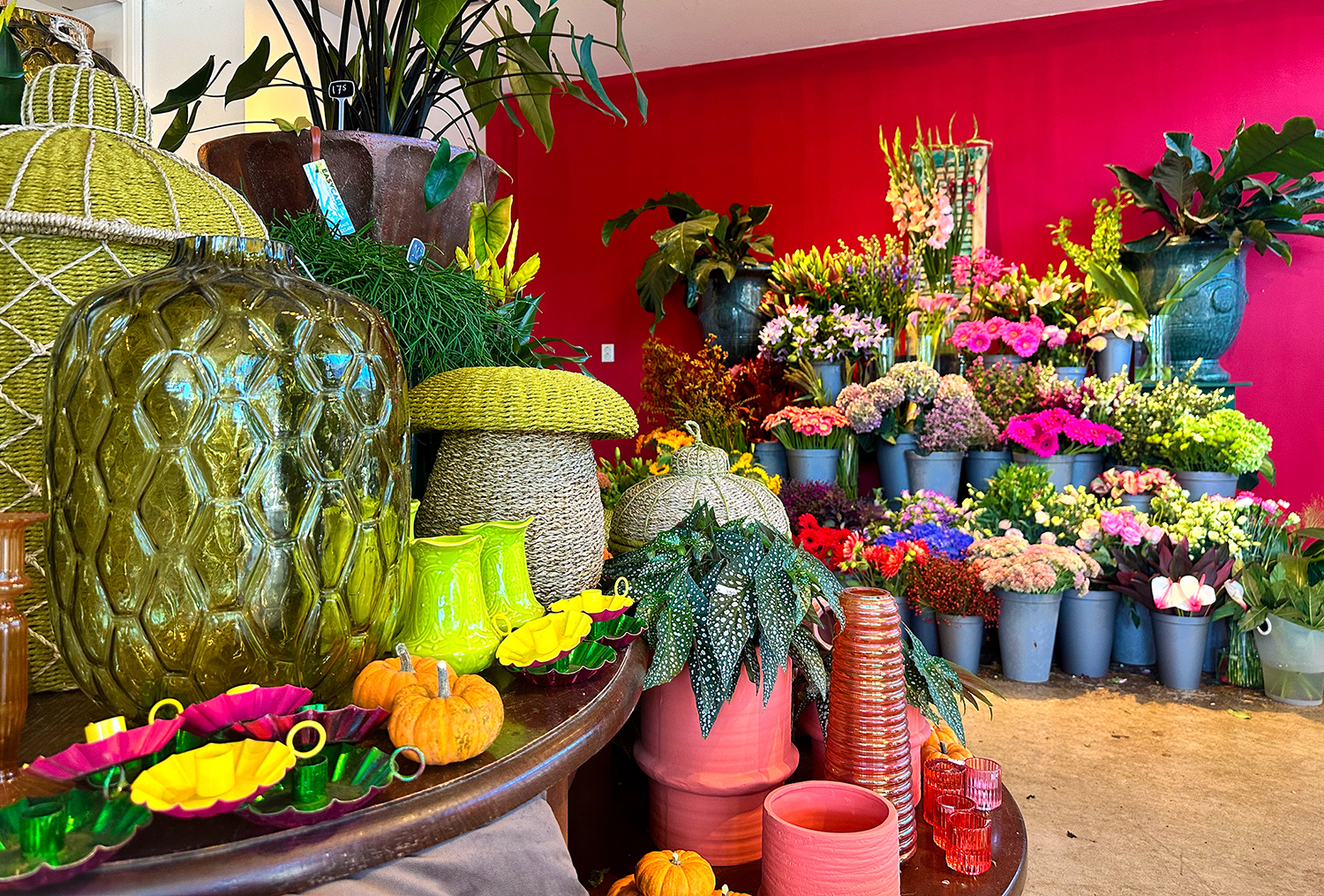 De bloemenzaak in Zaandam van Stacy Sanders.